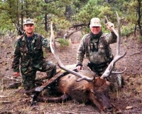 elk bow 744px