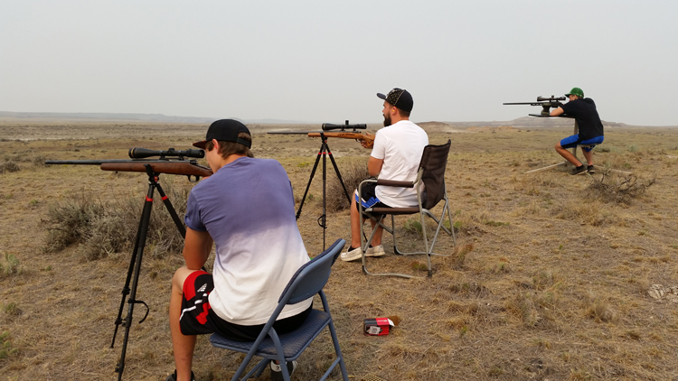 can you shoot prairie dogs in montana