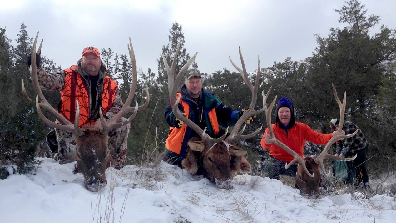 Elk hunting success in the Missouri breaks